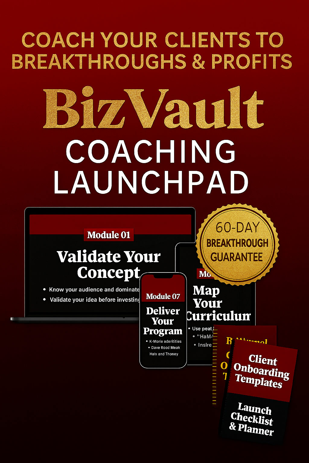 BizVault Coaching Launchpad